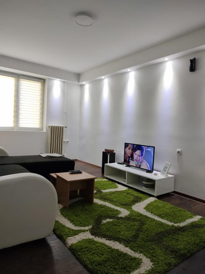 In Apartman U Samom Centru Obrenovca Apartment Obrenovac  Bagian luar foto