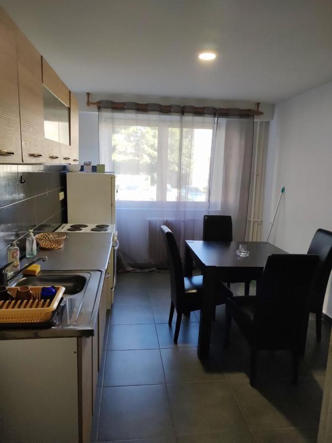 In Apartman U Samom Centru Obrenovca Apartment Obrenovac  Bagian luar foto